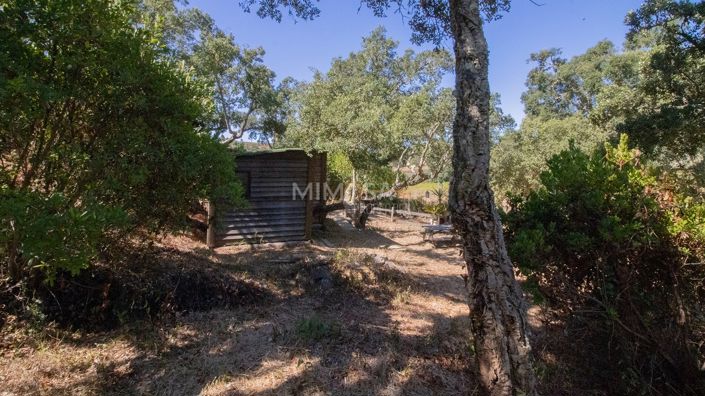 Image No.10-4 Bed Property for sale