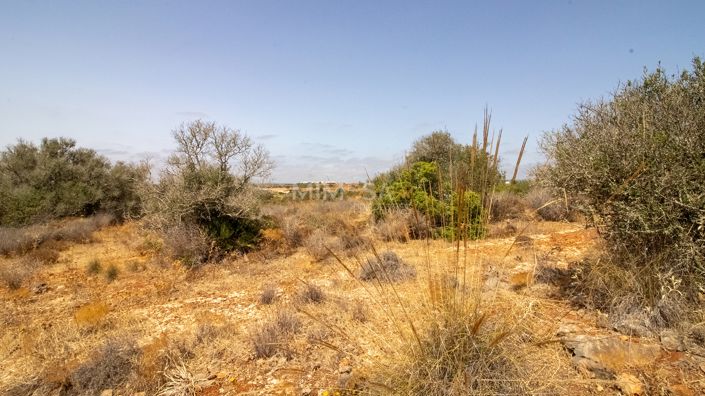 Image No.11-Property for sale