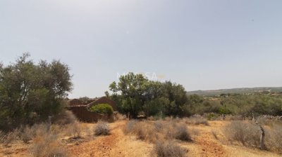 03864d45-4c94-4157-ab35-a6a273004eff