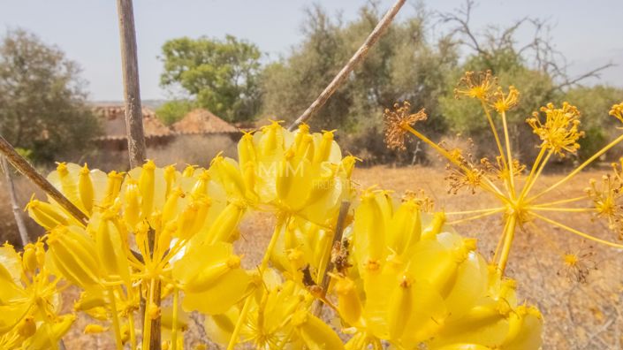 Image No.16-Property for sale