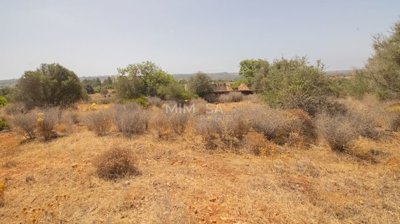 1806019b-efe2-4842-889b-fe5dca1b0dc2