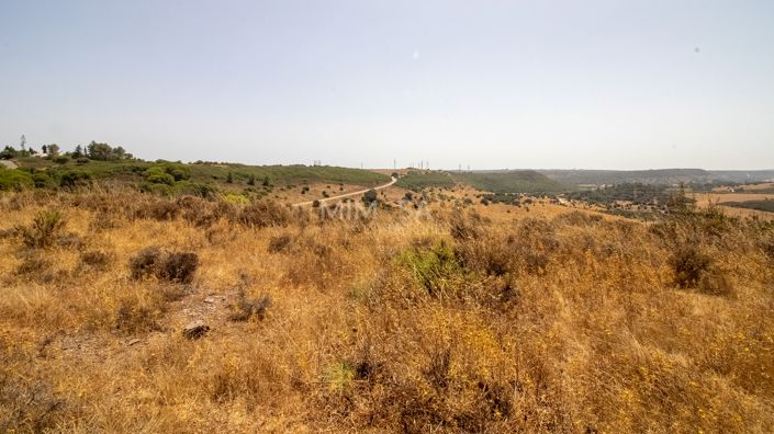 Image No.10-3 Bed Country House for sale