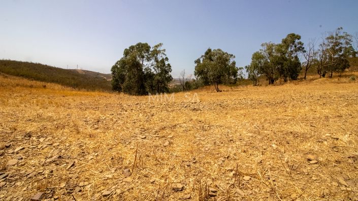 Image No.11-3 Bed Country House for sale