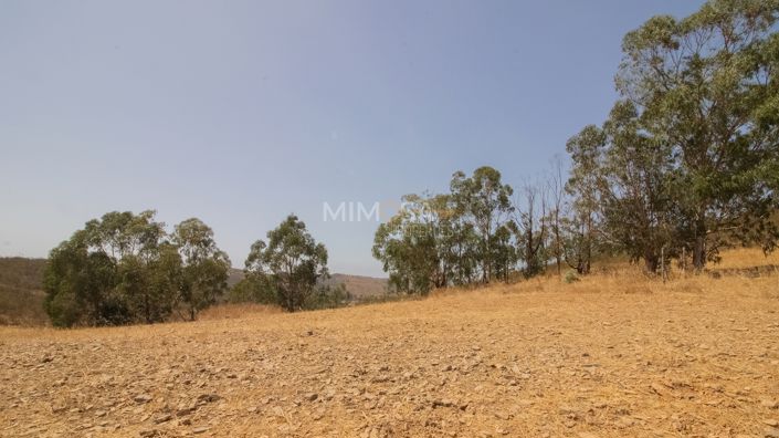 Image No.12-3 Bed Country House for sale