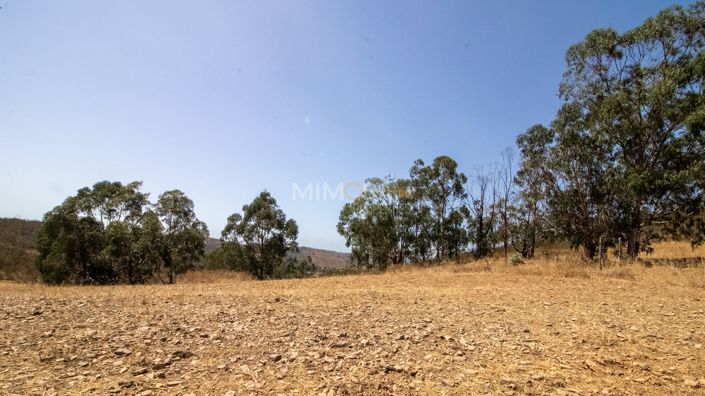 Image No.13-3 Bed Country House for sale