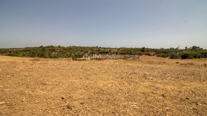 Image No.14-3 Bed Country House for sale