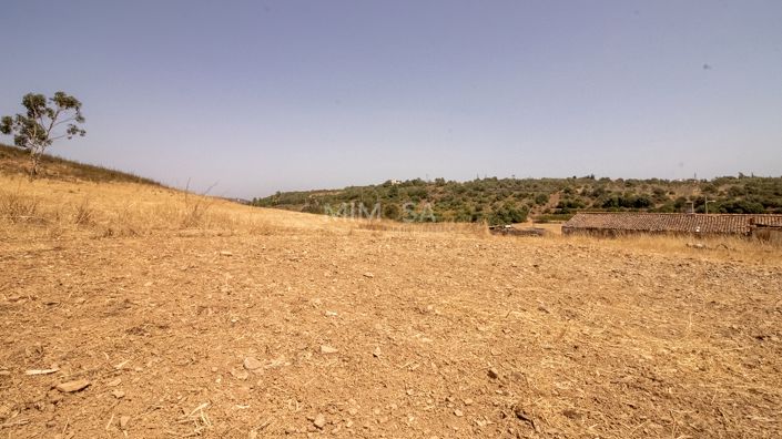 Image No.15-3 Bed Country House for sale