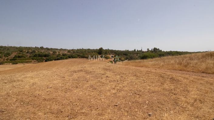 Image No.17-3 Bed Country House for sale