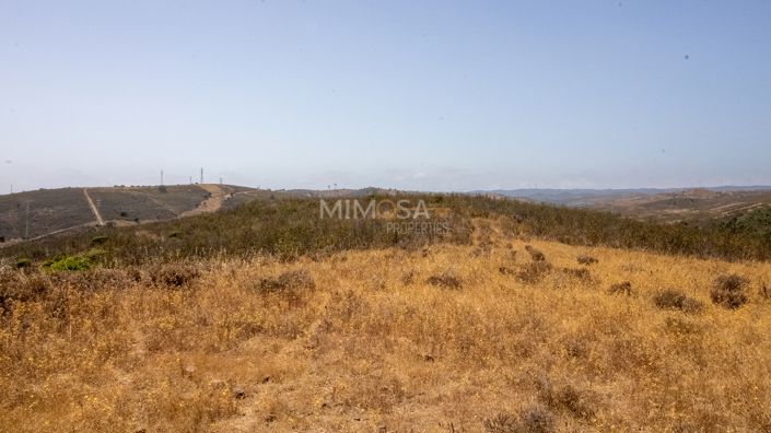 Image No.5-3 Bed Country House for sale