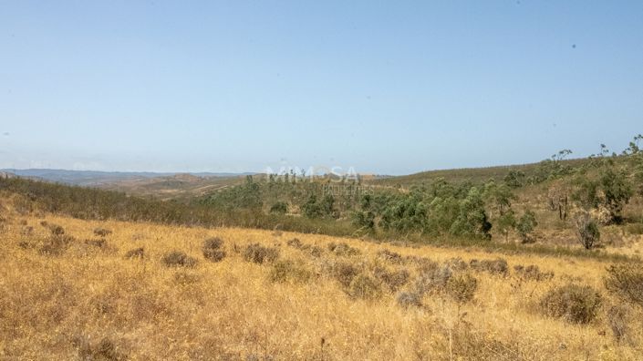 Image No.6-3 Bed Country House for sale