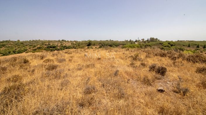 Image No.9-3 Bed Country House for sale