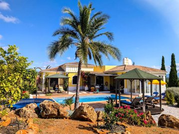 256e3d3f-dcab-4a67-af71-d00e6c331dae