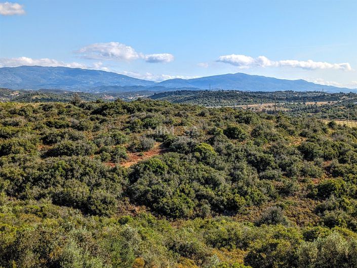 Image No.13-5 Bed House for sale