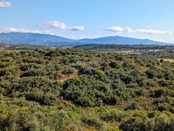 78d605f1-921a-4fa1-bb68-86844962a6b8