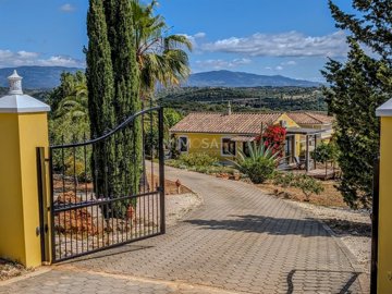 80cae590-fb9b-4696-99f1-4c50d1aa0768