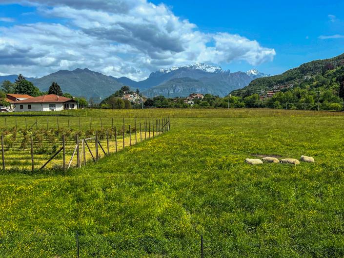 Image No.3-2 Bed Apartment for sale