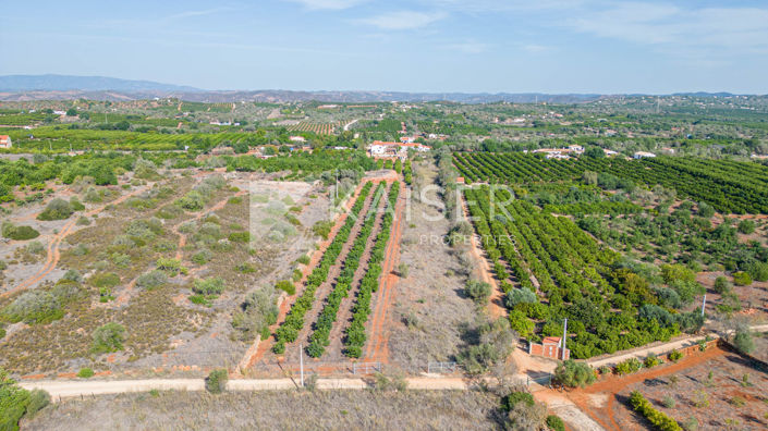 Image No.21-3 Bed Villa for sale