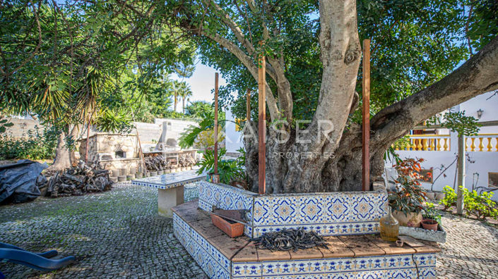 Image No.10-5 Bed Villa for sale