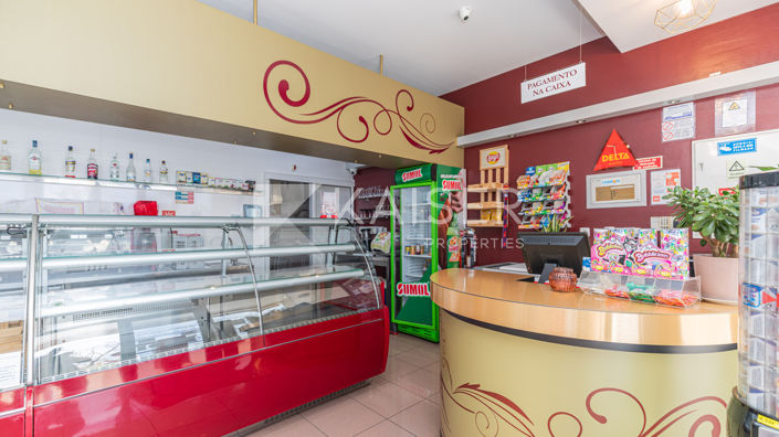 Image No.8-Commercial for sale