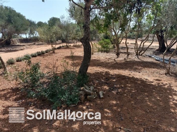 Image No.2-4 Bed Property for sale