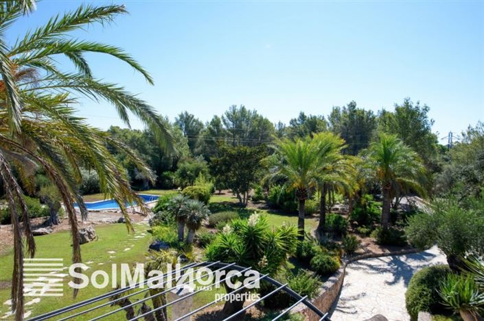 Image No.16-3 Bed Finca for sale