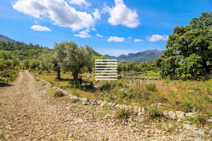 Image No.3-7 Bed Property for sale