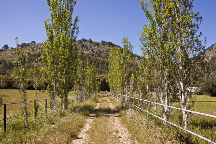 Image No.11-3 Bed Finca for sale