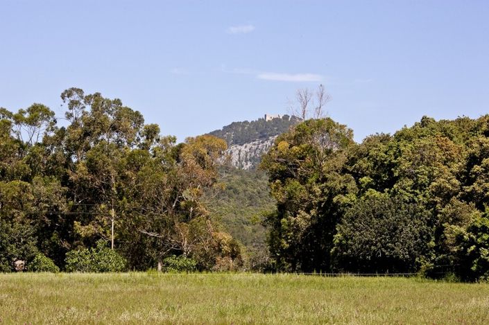 Image No.13-3 Bed Finca for sale