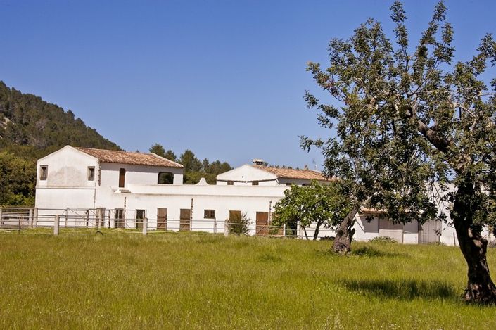 Image No.20-3 Bed Finca for sale