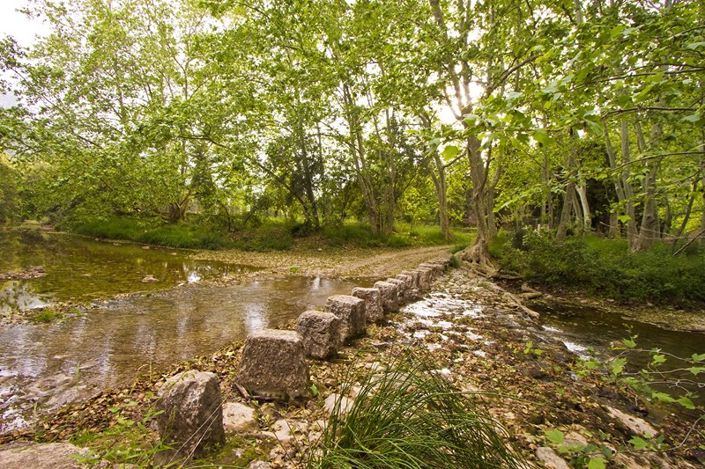 Image No.4-3 Bed Finca for sale