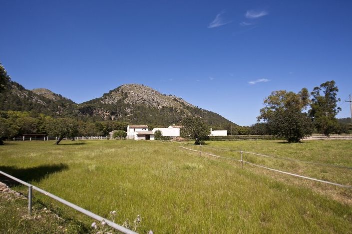 Image No.5-3 Bed Finca for sale