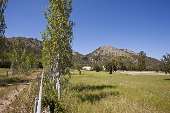 Image No.7-3 Bed Finca for sale