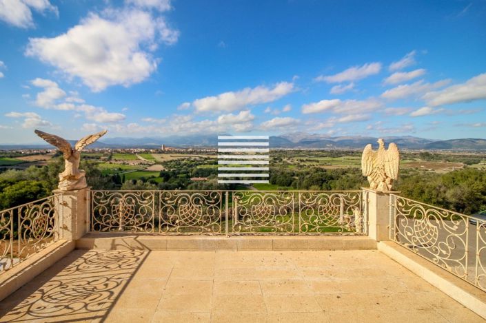 Image No.20-4 Bed Finca for sale