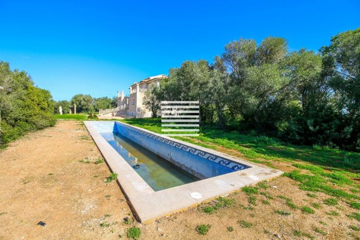 Image No.7-4 Bed Finca for sale