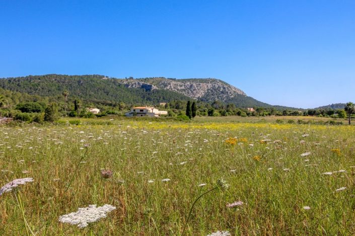 Image No.2-Plot for sale