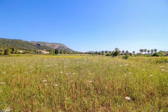 Image No.4-Plot for sale