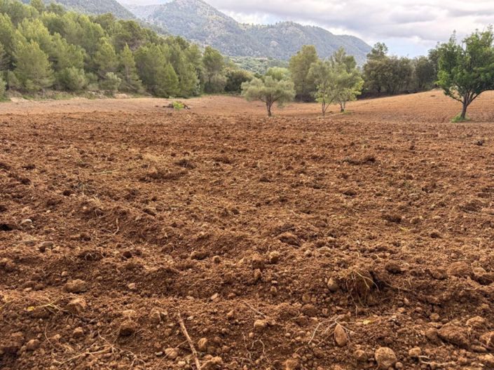 Image No.2-Plot for sale