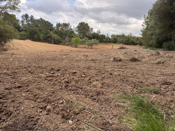 Image No.3-Plot for sale