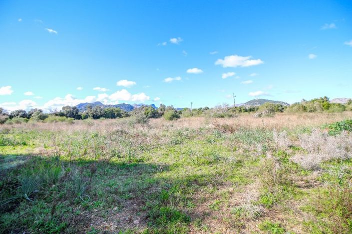 Image No.2-Plot for sale