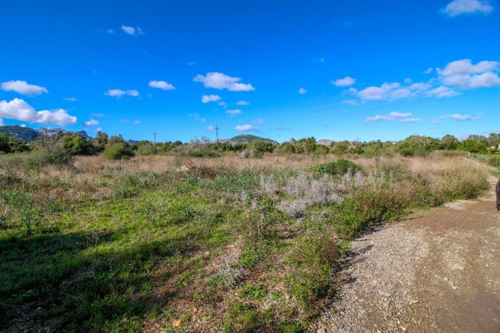 Image No.3-Plot for sale