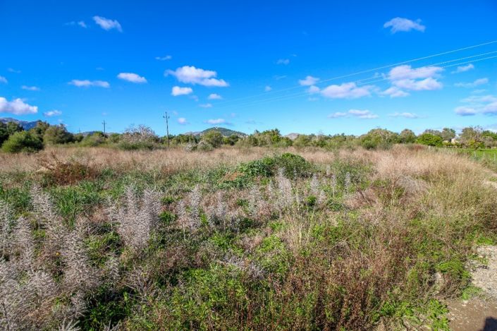 Image No.4-Plot for sale