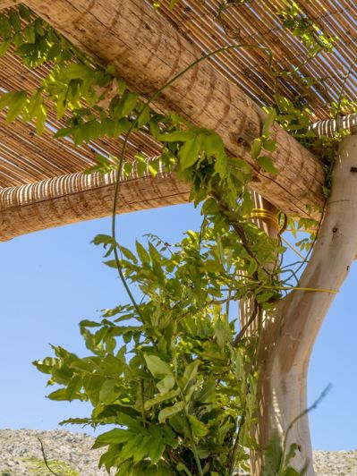 Image No.6-5 Bed Finca for sale