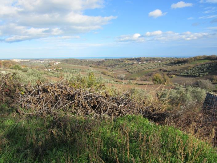 Image No.3-4 Bed Country House for sale