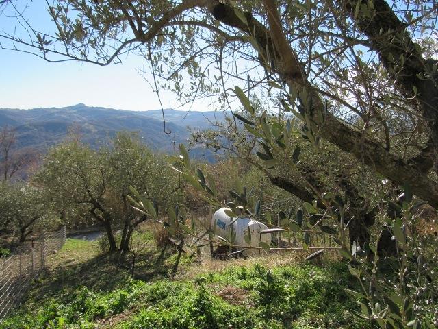 Image No.18-3 Bed Country House for sale