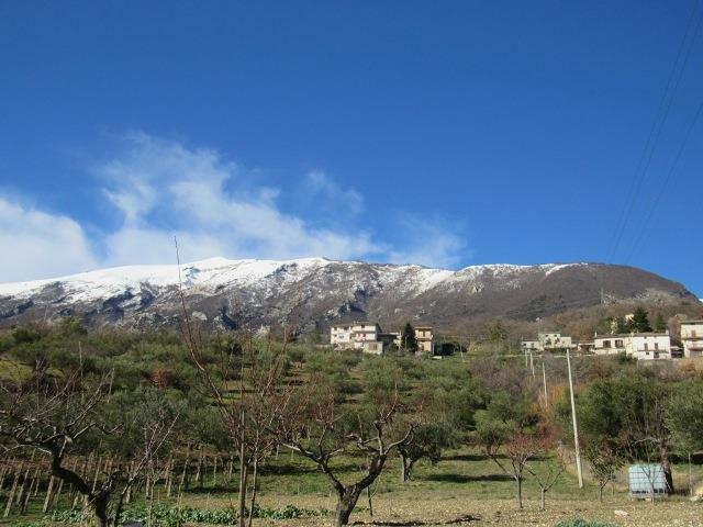 Image No.20-3 Bed Country House for sale