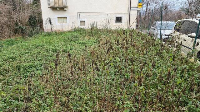 Image No.5-1 Bed Country House for sale