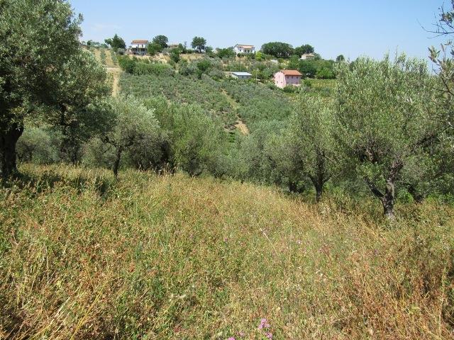 Image No.6-Land for sale