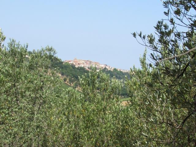 Image No.9-Land for sale