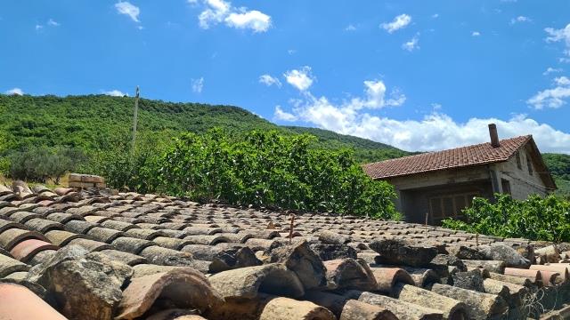 Image No.2-3 Bed Country House for sale