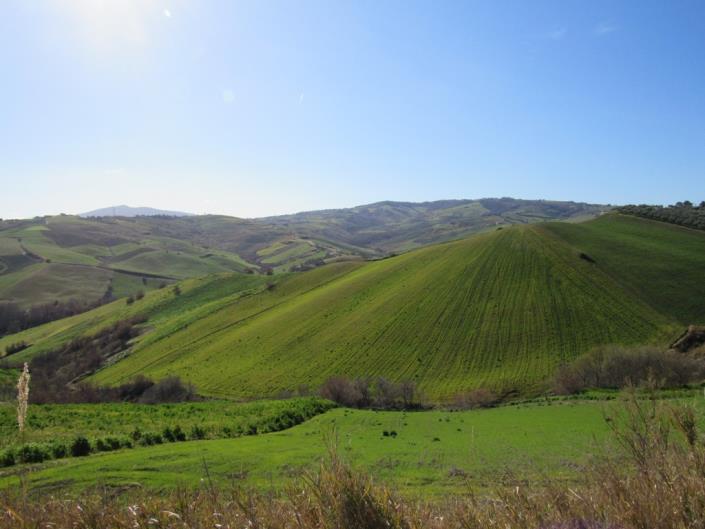 Image No.10-3 Bed Townhouse for sale